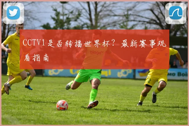 CCTV1是否转播世界杯?最新赛事观看指南