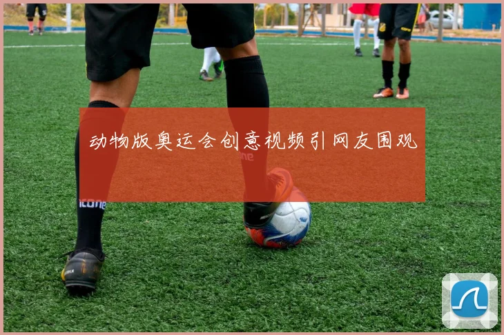 动物版奥运会创意视频引网友围观