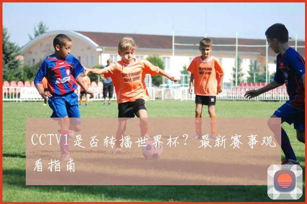 CCTV1是否转播世界杯？最新赛事观看指南
