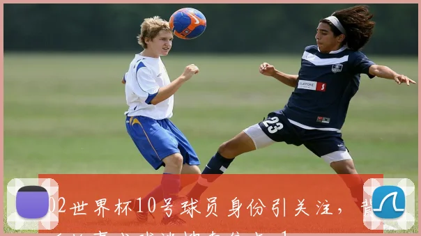 02世界杯10号球员身份引关注，背后故事成球迷搜索焦点_1
